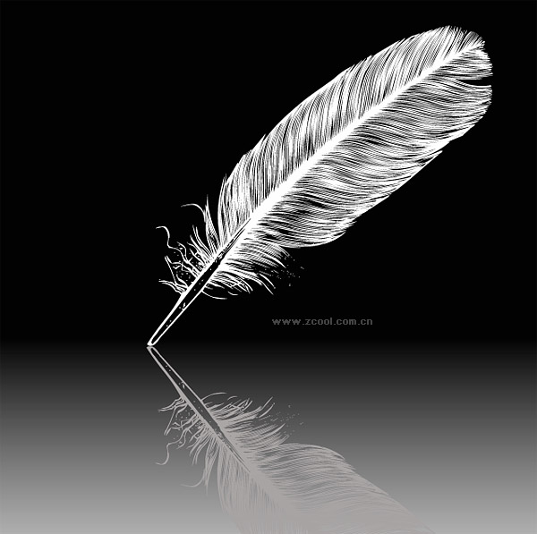 White feather vector material
