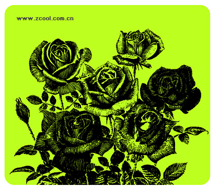 Pen painting style roses vector material