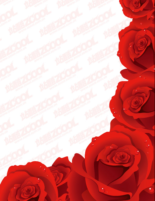 Exquisite red roses vector material