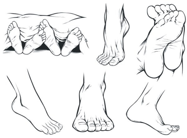 Vector feet