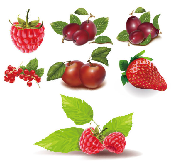 Large red berries, strawberry vector