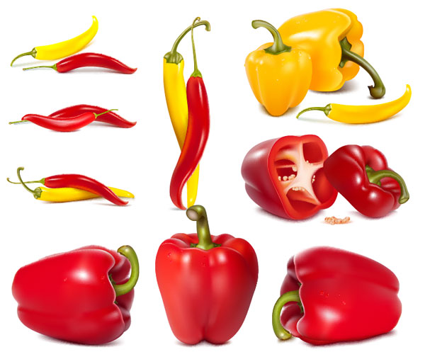 cpepper, vegetables, bell peppers vector
