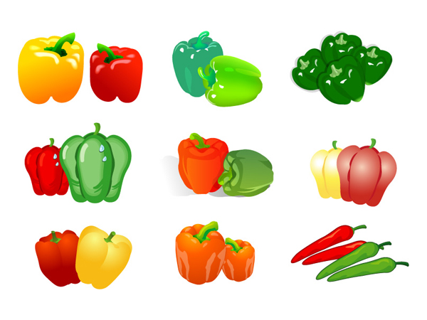 Vegetable Vector - Pepper