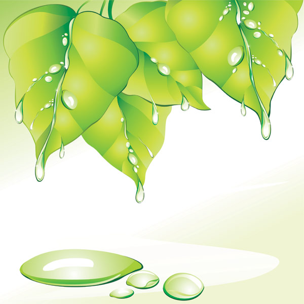 Green Leaf water
