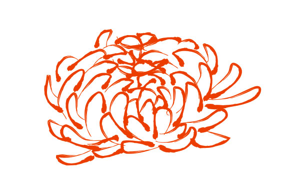 Chrysanthemum pattern vector