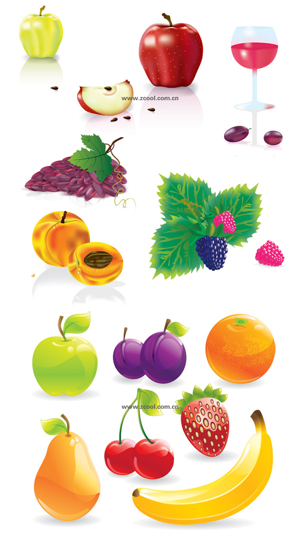 Several common fruits vector material