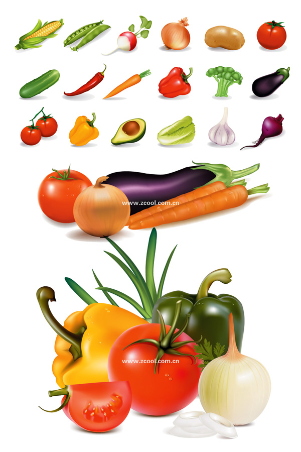 Several common vegetables vector material