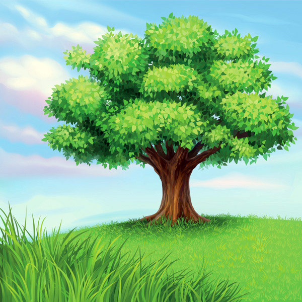 A tree vector material
