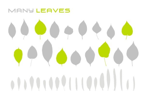 Variety of leaves Vector