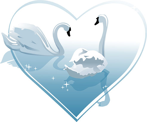 Heart-shaped white swan vector of material