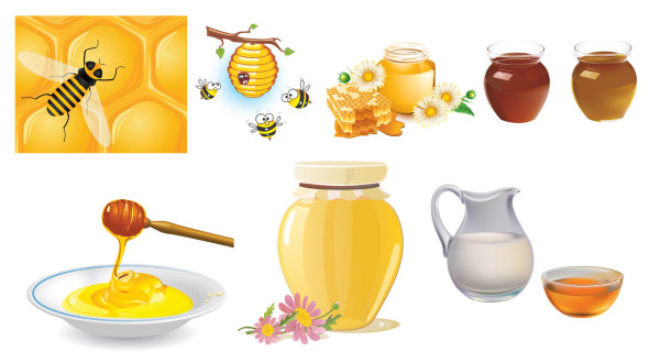 Gather honey bees vector of material