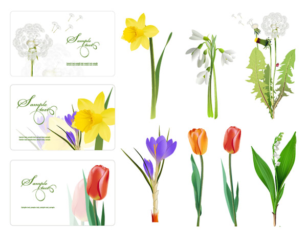 Some flowers Vector			