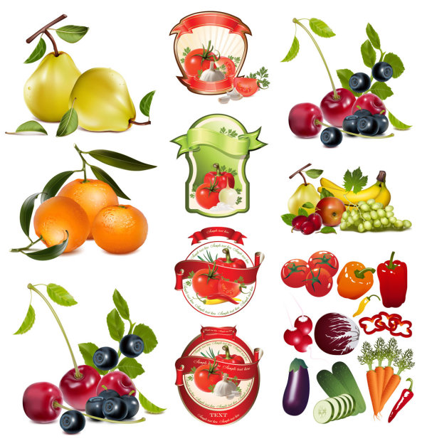 Theme Vector fruits and vegetables			 