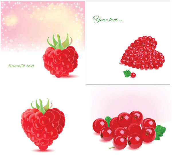 Romantic berries vector of material
