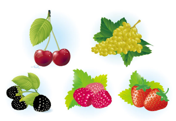 Vector Fruits		