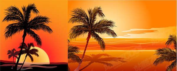Coconut beach sunset shadow vector